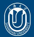 Shanghai University